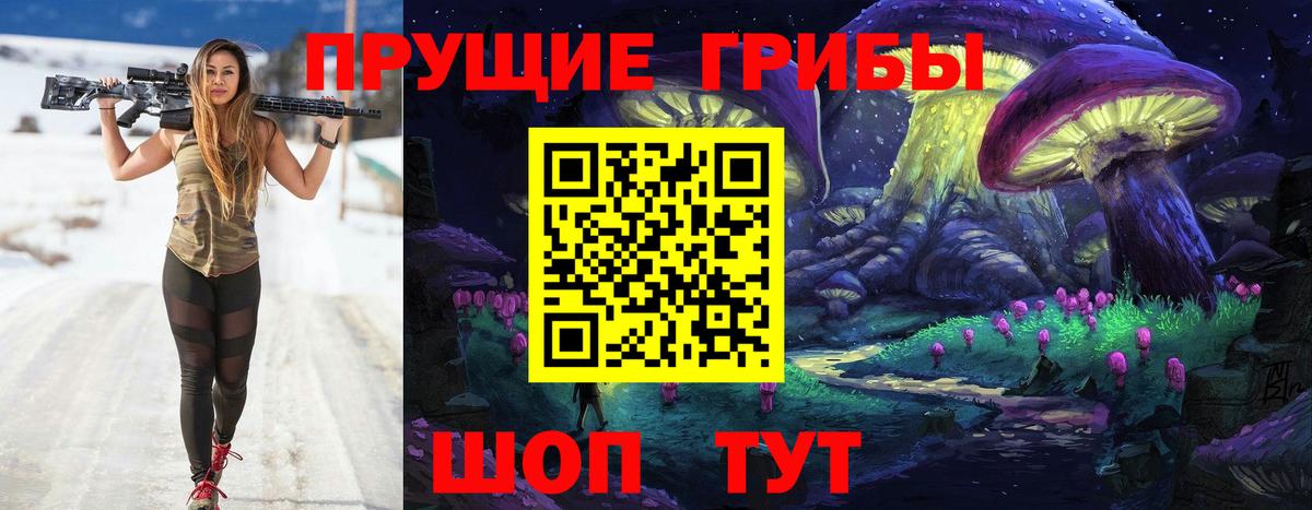 Галлюциногенные грибы прущие грибы  Вход с VPN  Тихвин 