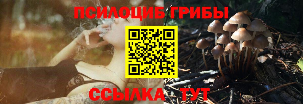Псилоцибиновые грибы прущие грибы Тихвин